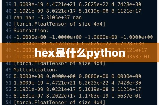 HEX数据