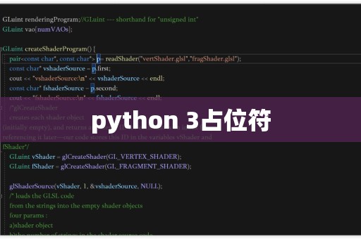 python 函数占位符  第1张