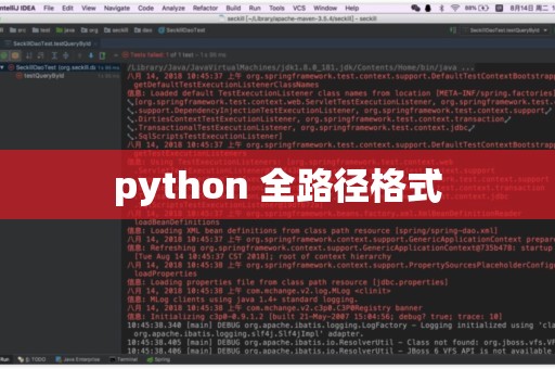 如何正确设置和使用Python路径？